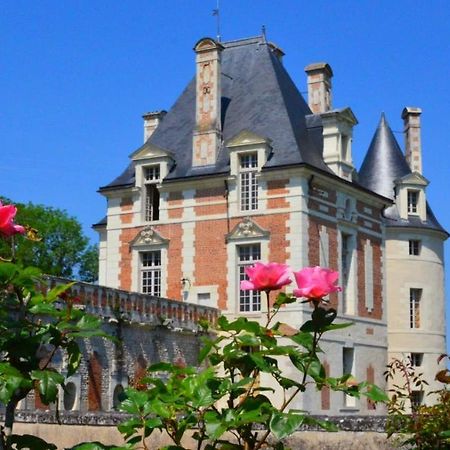 Le Gite De Charline Villa Selles-sur-Cher Buitenkant foto
